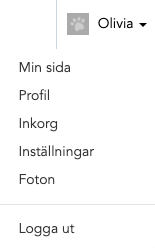 Va_lj_Min_Sida.png