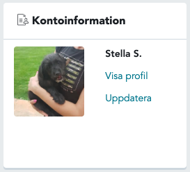 Kontoinformation_Stella.png